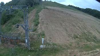 Ведмежа 24 липня 2019 року, 2019-07-24 13:00