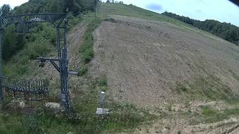 Ведмежа 27 липня 2019 року, 2019-07-27 13:00