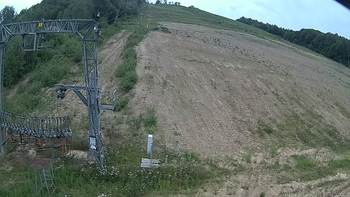 Ведмежа 27 липня 2019 року, 2019-07-27 16:00