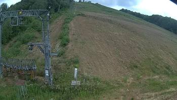 Ведмежа 1 серпня 2019 року, 2019-08-01 16:00