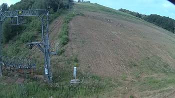 Ведмежа 3 серпня 2019 року, 2019-08-03 10:00