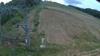 Ведмежа 3 серпня 2019 року, 2019-08-03 13:00