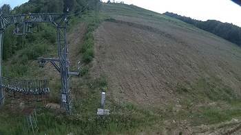 Ведмежа 3 серпня 2019 року, 2019-08-03 16:00