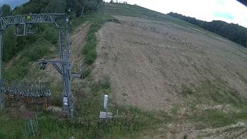 Ведмежа 4 серпня 2019 року, 2019-08-04 16:00