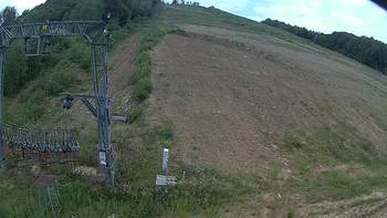 Ведмежа 5 серпня 2019 року, 2019-08-05 10:00