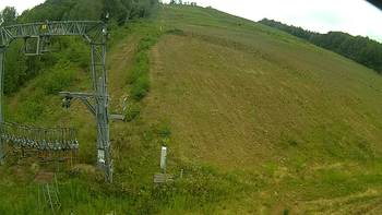 Ведмежа 6 серпня 2019 року, 2019-08-06 13:00