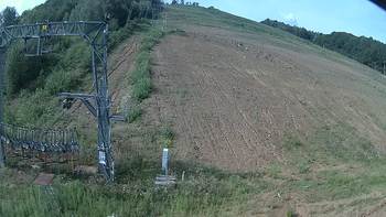 Ведмежа 7 серпня 2019 року, 2019-08-07 10:00