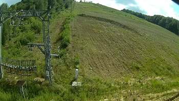 Ведмежа 8 серпня 2019 року, 2019-08-08 16:00