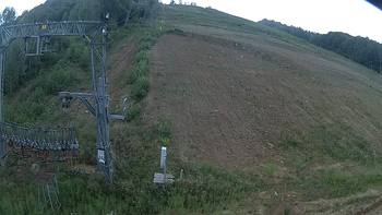 Ведмежа 9 серпня 2019 року, 2019-08-09 10:00