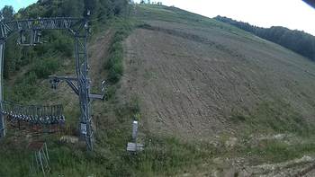 Ведмежа 10 серпня 2019 року, 2019-08-10 16:00