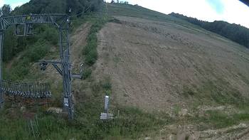 Ведмежа 11 серпня 2019 року, 2019-08-11 16:00