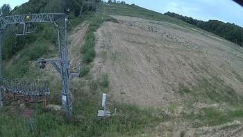 Ведмежа 14 серпня 2019 року, 2019-08-14 10:00