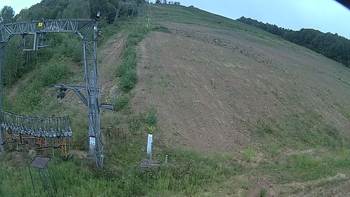 Ведмежа 14 серпня 2019 року, 2019-08-14 16:00