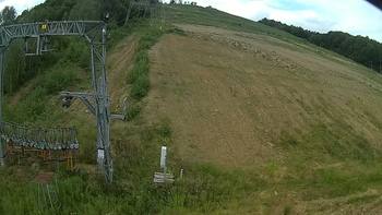 Ведмежа 15 серпня 2019 року, 2019-08-15 10:00
