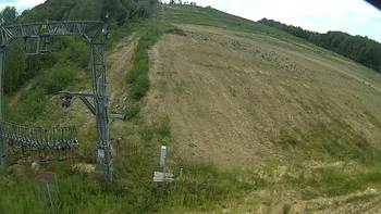 Ведмежа 18 серпня 2019 року, 2019-08-18 13:00