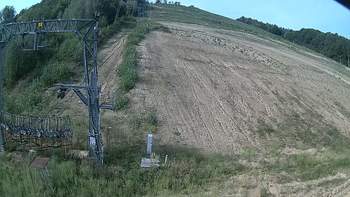 Ведмежа 24 серпня 2019 року, 2019-08-24 10:00