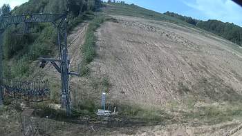 Ведмежа 2 вересня 2019 року, 2019-09-02 10:00
