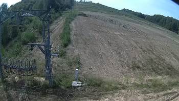 Ведмежа 2 вересня 2019 року, 2019-09-02 13:00