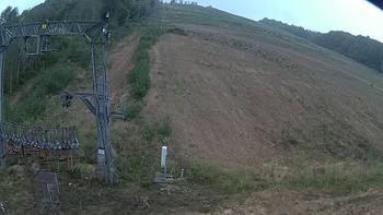Ведмежа 3 вересня 2019 року, 2019-09-03 16:00