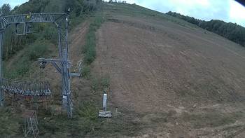 Ведмежа 17 вересня 2019 року, 2019-09-17 16:00