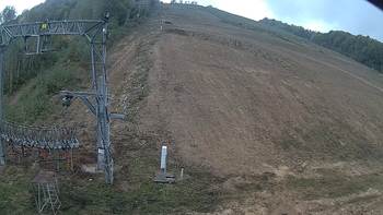 Ведмежа 26 вересня 2019 року, 2019-09-26 13:00
