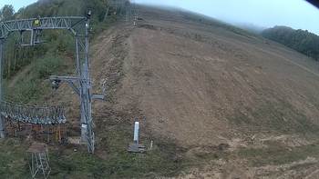 Ведмежа 29 вересня 2019 року, 2019-09-29 10:00