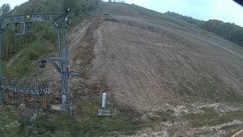 Ведмежа 3 жовтня 2019 року, 2019-10-03 13:00