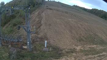 Ведмежа 5 жовтня 2019 року, 2019-10-05 10:00