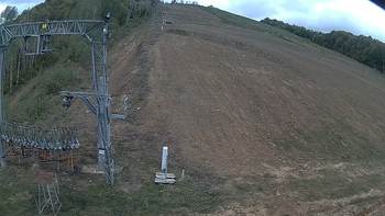 Ведмежа 6 жовтня 2019 року, 2019-10-06 13:00