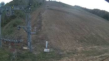 Ведмежа 8 жовтня 2019 року, 2019-10-08 16:00