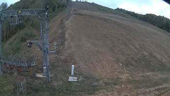 Ведмежа 9 жовтня 2019 року, 2019-10-09 13:00