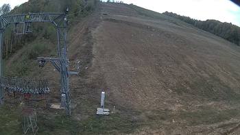 Ведмежа 12 жовтня 2019 року, 2019-10-12 16:00