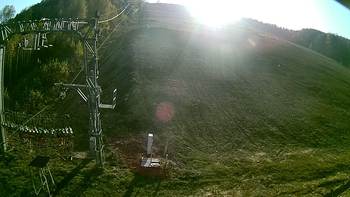 Ведмежа 25 жовтня 2019 року, 2019-10-25 16:00