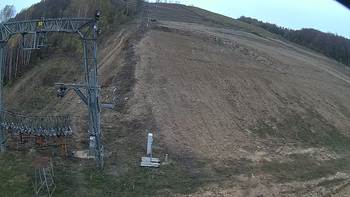 Ведмежа 30 жовтня 2019 року, 2019-10-30 16:00