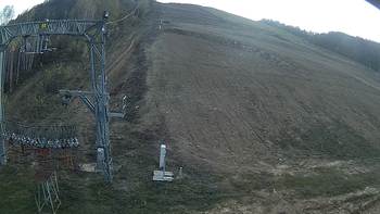 Ведмежа 31 жовтня 2019 року, 2019-10-31 16:00