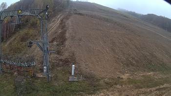 Ведмежа 2 листопада 2019 року, 2019-11-02 16:00