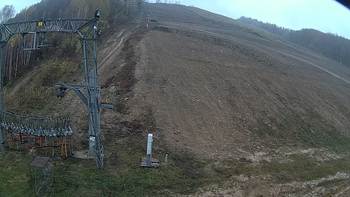 Ведмежа 3 листопада 2019 року, 2019-11-03 16:00