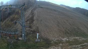 Ведмежа 10 листопада 2019 року, 2019-11-10 16:00