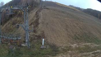 Ведмежа 11 листопада 2019 року, 2019-11-11 13:00
