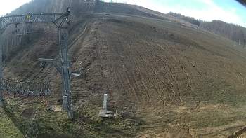 Ведмежа 20 листопада 2019 року, 2019-11-20 10:00
