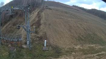 Ведмежа 21 листопада 2019 року, 2019-11-21 10:00