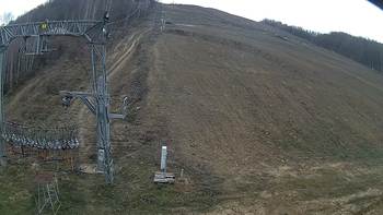 Ведмежа 25 листопада 2019 року, 2019-11-25 13:00