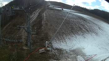 Ведмежа 1 грудня 2019 року, 2019-12-01 13:00