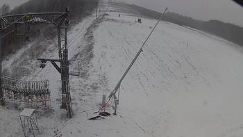 Ведмежа 2 грудня 2019 року, 2019-12-02 13:00