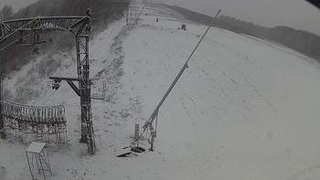 Ведмежа 2 грудня 2019 року, 2019-12-02 16:00