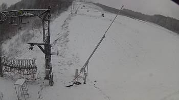 Ведмежа 3 грудня 2019 року, 2019-12-03 13:00