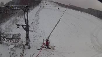 Ведмежа 3 грудня 2019 року, 2019-12-03 16:00