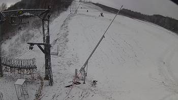 Ведмежа 4 грудня 2019 року, 2019-12-04 13:00