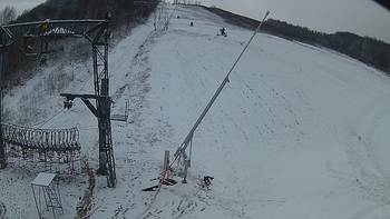 Ведмежа 4 грудня 2019 року, 2019-12-04 16:00