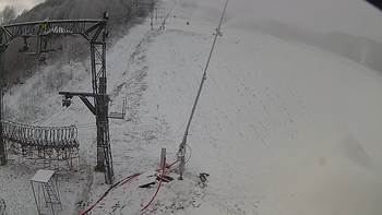 Ведмежа 5 грудня 2019 року, 2019-12-05 10:00